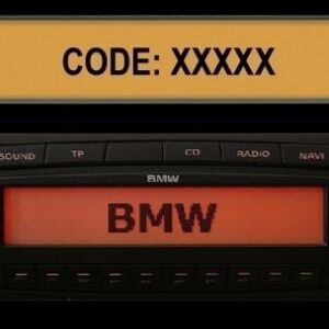 Decodificador de BMW