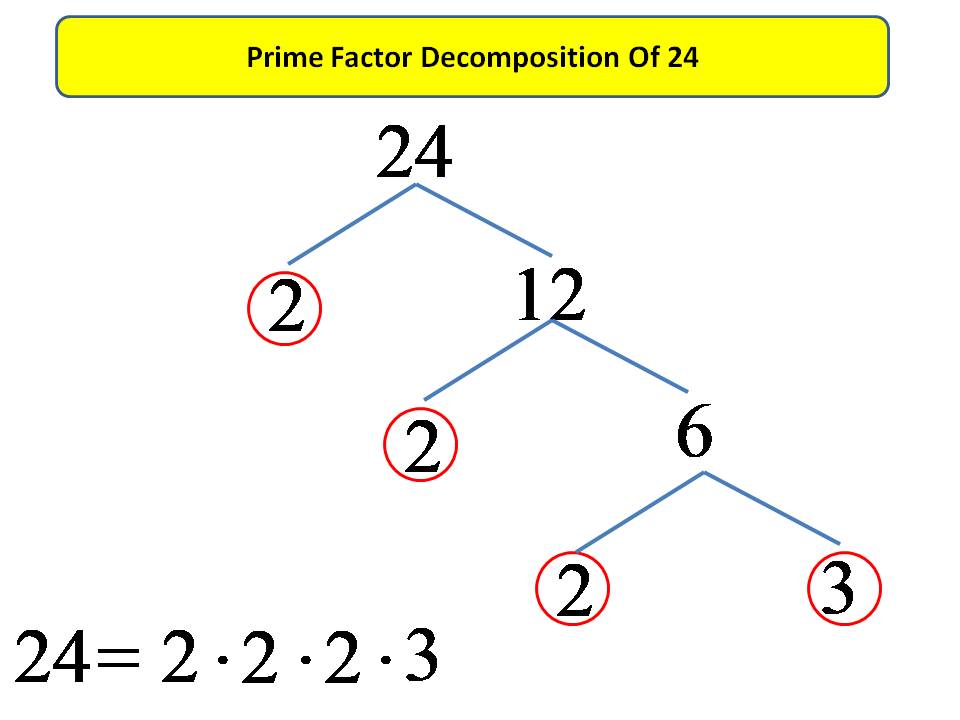 Prime Factor Decomposition Of 24